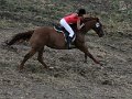 20120826_135245_IMG_5709
