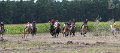 20120826_141237_IMG_5751